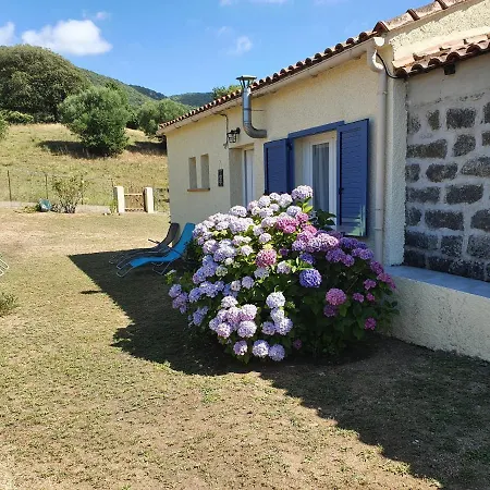 Bergerie Typique Corse