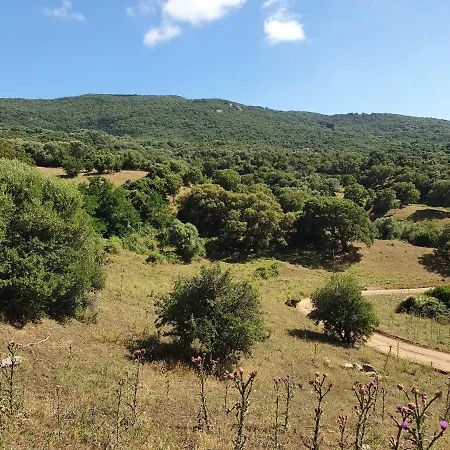 Bergerie Typique Corse *
