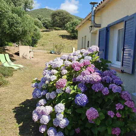 Bergerie Typique Corse